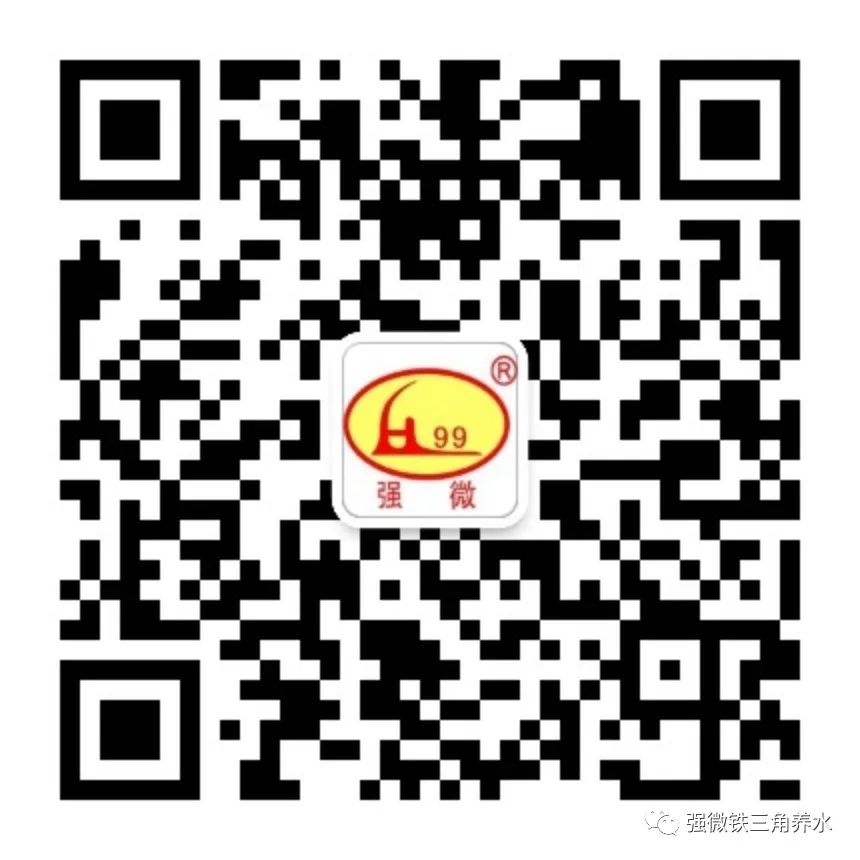 养殖狗的技术方法如下_养殖狗方法技术下如何喂食_养狗养殖技术