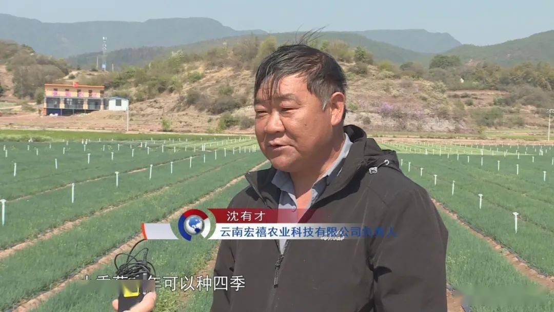 火龙珠种植一亩收益_致富种植火龙珠视频_火龙珠种植致富