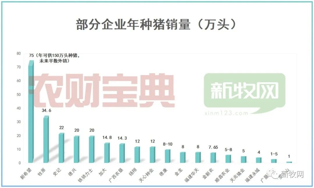 种草养猪视频致富经_致富经生态养殖猪视频_致富经种猪养殖视频