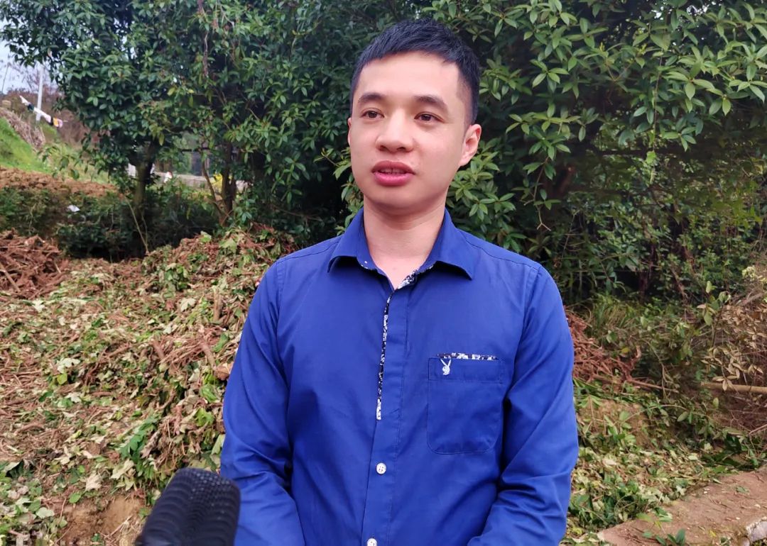 致富药材种植_中药材种植致富经_中药种植致富技术
