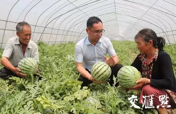 让“土专家”“田秀才”戴上人才帽子，姜堰娄庄以“人才振兴”助力“乡村振兴”