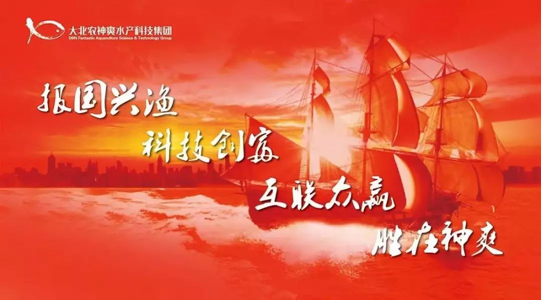 神爽饲料+神爽膨化料+神爽生物科技，鲫鱼长势快，赶上好鱼价！（45）