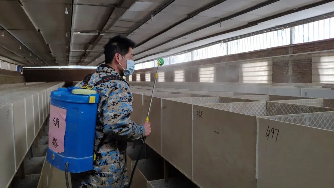 致富经养老鼠_致富经养竹虫_cctv7 致富经养竹鼠