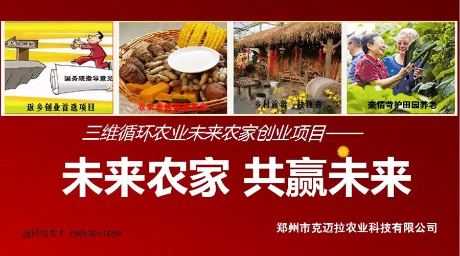 致富经蚯蚓养殖_致富养殖蚯蚓视频_养蚯蚓致富经