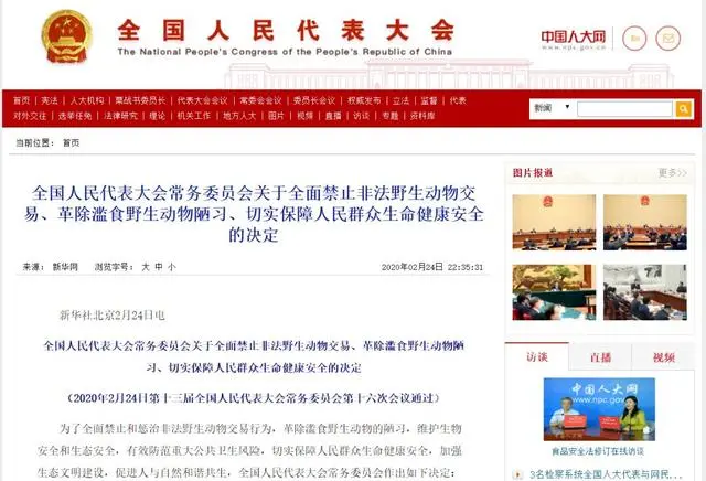 竹鼠还能养能吃吗？林业局发布紧急通知：全面清理排查