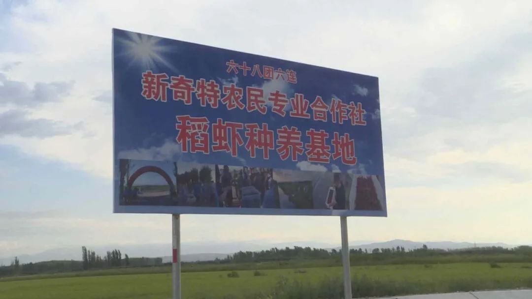 伊宁种植致富_伊犁种地_伊宁农作物