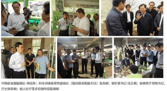 每日农经致富经葡萄_致富经葡萄种植_致富经葡萄盆景视频