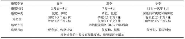 致富能种植油茶人参果吗_致富能种植油茶人参吗_油茶种植 致富能人