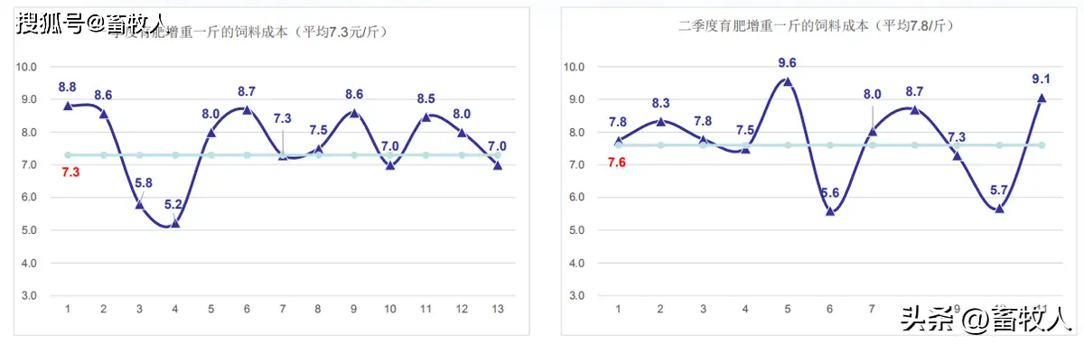2020致富经养羊视频_致富经2020养羊视频_cctv致富经养羊