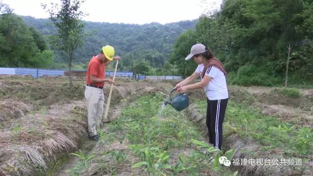 致富宝贝种植方法有哪些_致富宝宝_致富宝贝种植方法