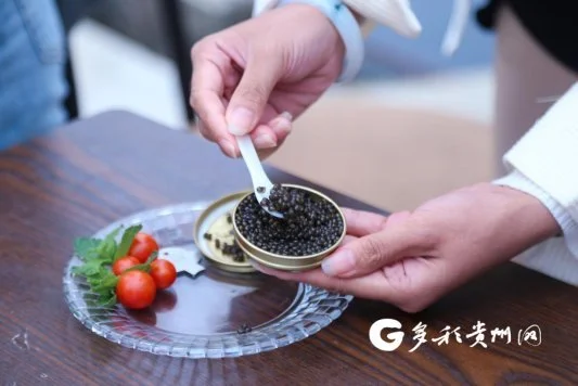 致富养殖项目有哪些项目_致富养殖项目有哪些_养殖有哪些致富项目呢