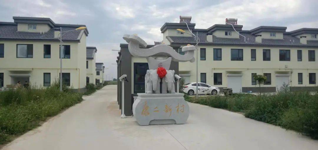 高密蔬菜种植基地_高密种植大户_高密种植致富