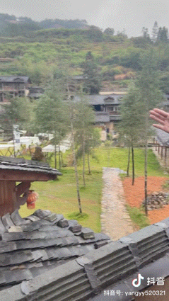 养殖狗熊致富_致富养殖狗熊视频_狗熊养殖场