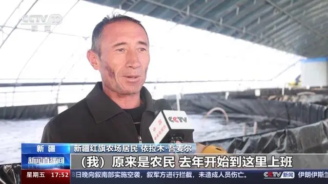 致富经南美白对虾养殖_南白对虾养殖方法_南养白对虾养殖技术