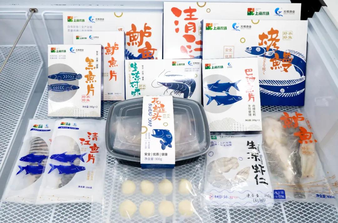 花鲢鱼苗养殖技术_养殖花鲢鱼苗的利润_花鲢鱼养殖周期