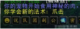 魔兽世界怀旧服猎人宠物玩法攻略