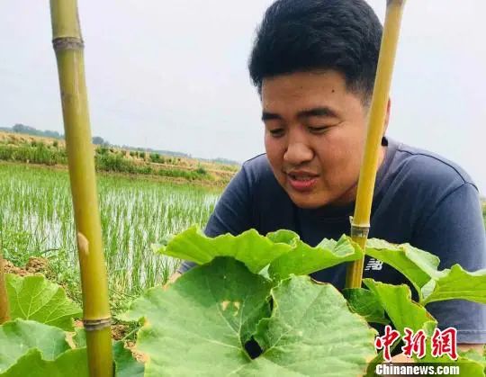 农村致富项目养殖业_农村致富养殖_乡下养殖致富