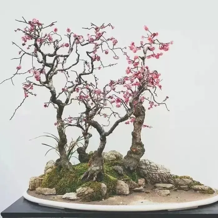 致富花木种植靠什么赚钱_靠种植花木致富_种花致富选什么品种