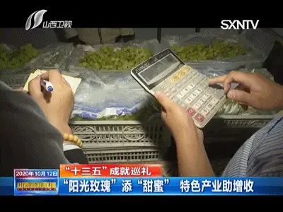 靠种葡萄致富！他们的小康路很“甜蜜”……