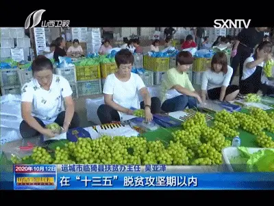 致富花木种植靠什么赚钱_种花致富选什么品种_靠种植花木致富