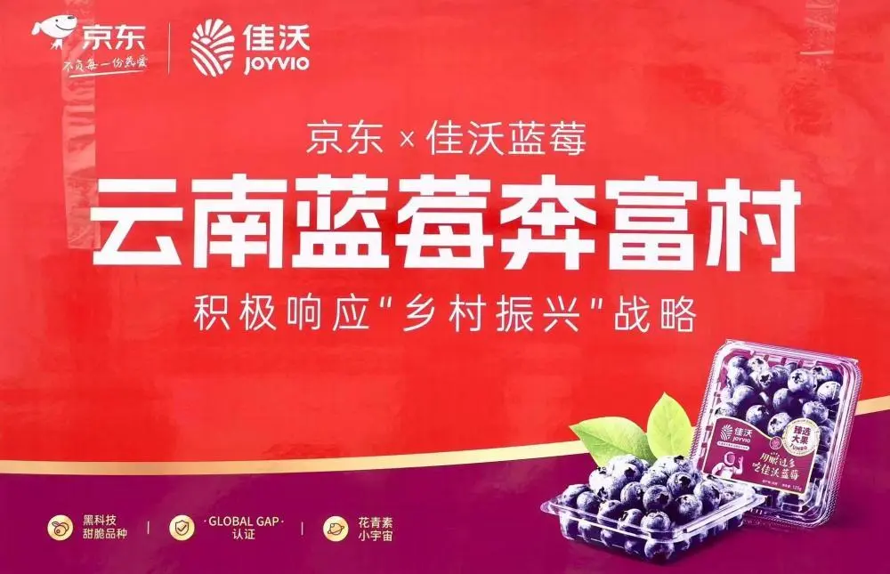 云南泥鳅怎么做好吃_红河泥鳅养殖合作社_致富经云南红河泥鳅