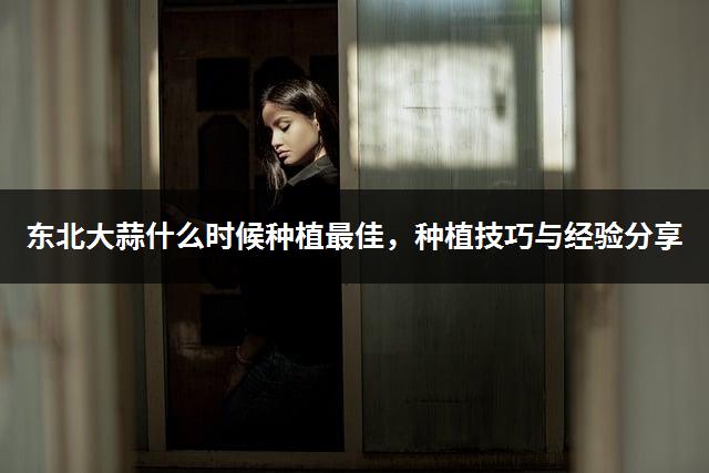 东北大蒜什么时候种植最佳，种植技巧与经验分享-1