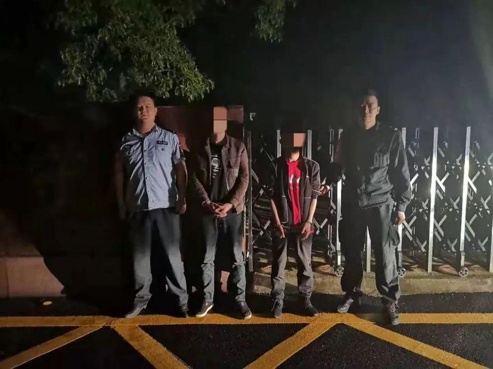 致富经收鸡份视频_农业节目致富经养殖鸡视频_致富经2019年全集养鸡视频