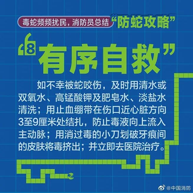 致富经养殖毒蛇视频_致富经水律蛇视频_致富经47亿蛇毒视频