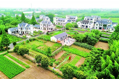 致富种植盆景怎么样_致富种植盆景视频_盆景种植致富