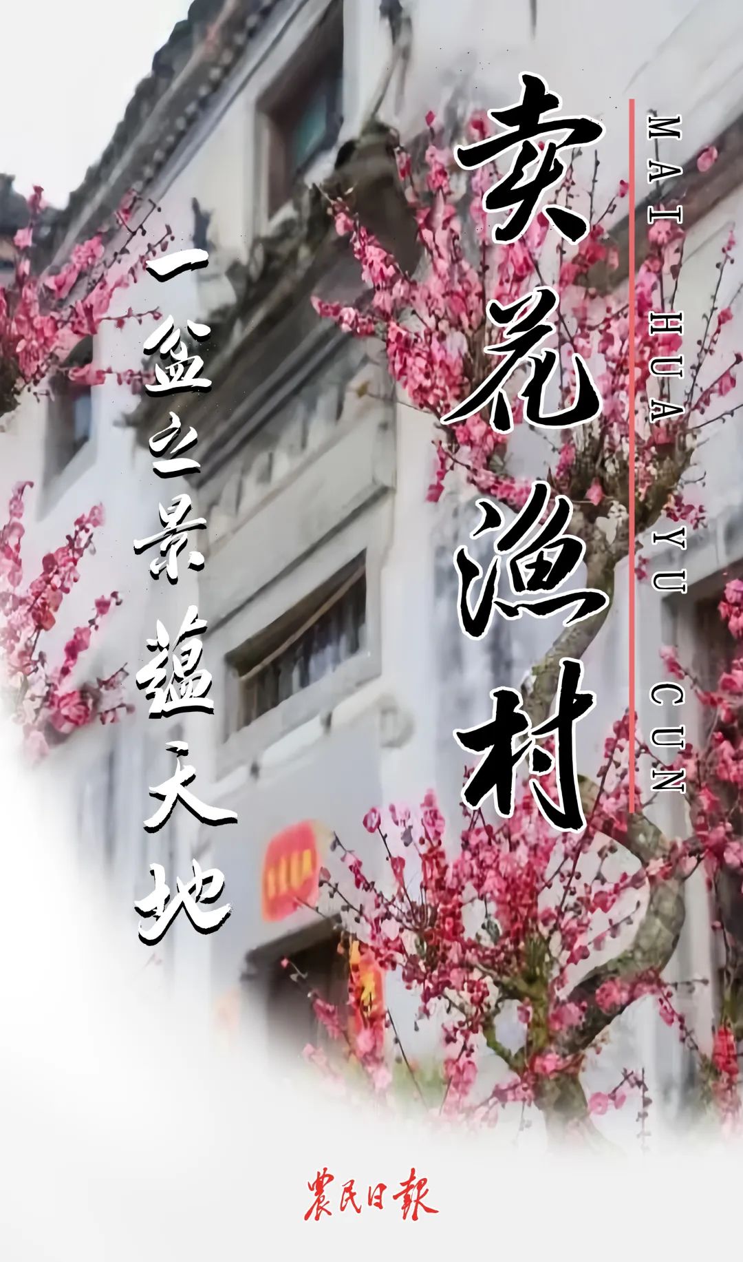 盆景种植致富_致富种植盆景怎么样_盆栽致富经