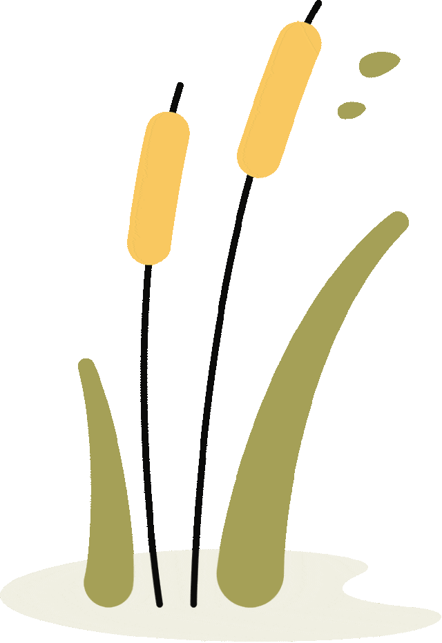 盆栽致富经_盆景种植致富_致富种植盆景怎么样