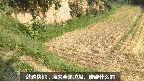 致富经朱艳养殖野兔_致富经野兔养殖视频_野兔养殖前景