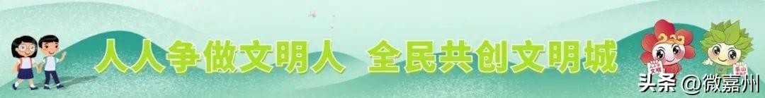 农村鱼腥草_关于鱼腥草的致富经_致富经鱼腥草种植视频