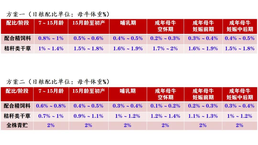 养架子牛好还是养小牛好_架子牛养殖技术_架子养殖牛技术视频教程