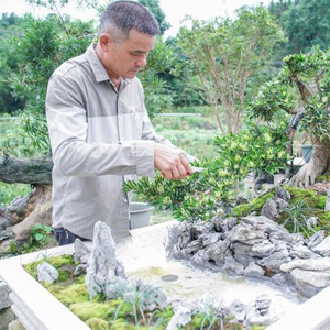 盆景种植致富_致富种植盆景怎么样_致富种植盆景视频