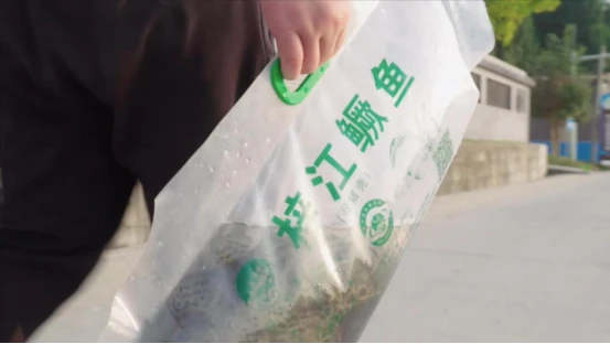 怎样去下眼袋农村养什么致富_致富经江山市养鳜鱼_养牛羊致富故事