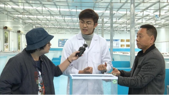 怎样去下眼袋农村养什么致富_养牛羊致富故事_致富经江山市养鳜鱼