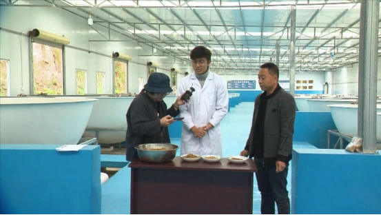 养牛羊致富故事_致富经江山市养鳜鱼_怎样去下眼袋农村养什么致富