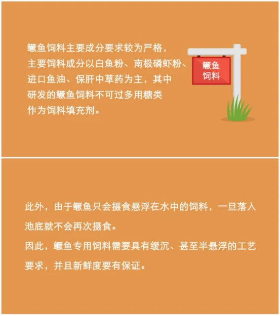 养牛羊致富故事_致富经江山市养鳜鱼_怎样去下眼袋农村养什么致富