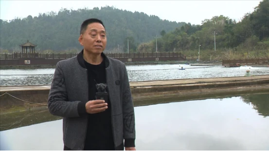 养牛羊致富故事_怎样去下眼袋农村养什么致富_致富经江山市养鳜鱼