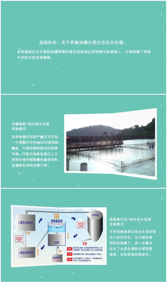 致富经江山市养鳜鱼_怎样去下眼袋农村养什么致富_养牛羊致富故事
