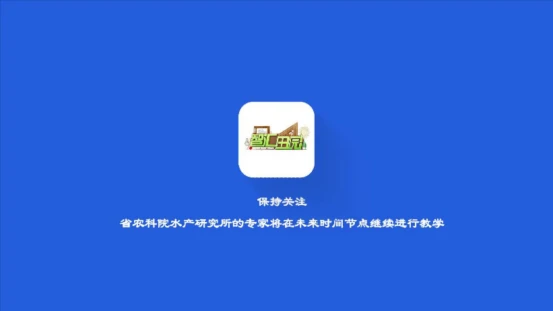 致富经江山市养鳜鱼_养牛羊致富故事_怎样去下眼袋农村养什么致富