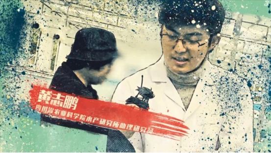 致富经江山市养鳜鱼_怎样去下眼袋农村养什么致富_养牛羊致富故事