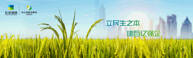 全国优质粮食工程现场经验交流会在湖州召开