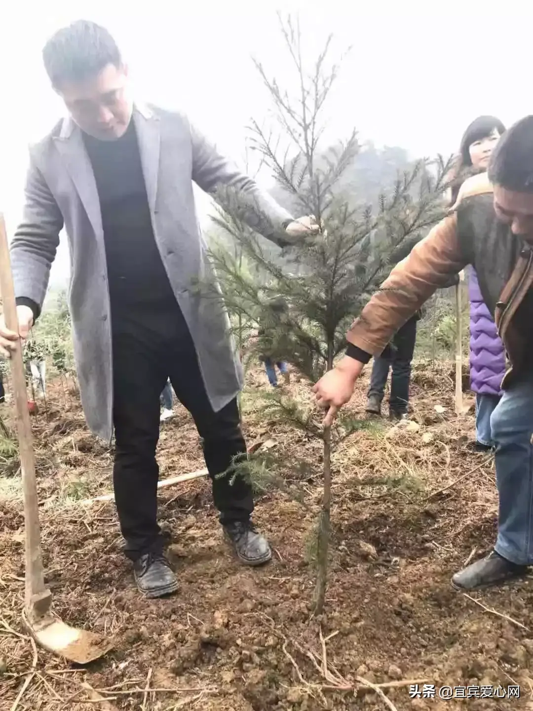 宜宾种植基地_宜宾苗乡种植致富_宜宾种植什么最赚钱