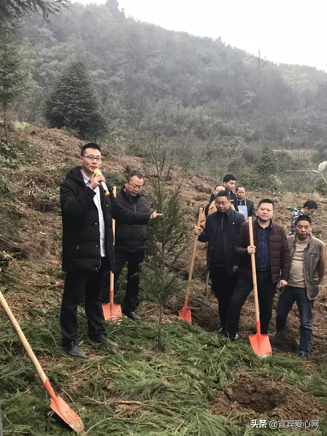 宜宾苗乡种植致富_宜宾种植什么最赚钱_宜宾种植基地