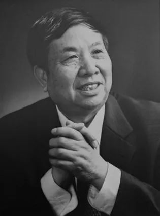 甘蓝种植致富事例_种植甘蓝的成本和利润_一百亩种植甘蓝投资