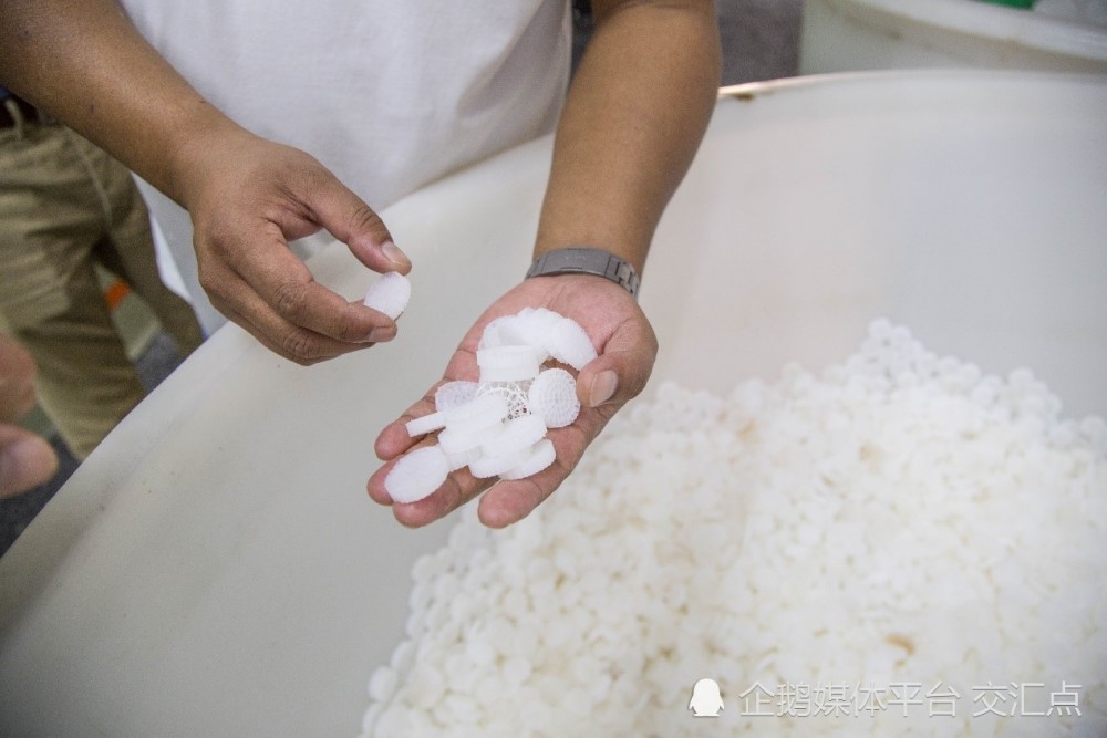 生态养殖致富方法_致富养殖生态方法是什么_致富养殖生态方法视频