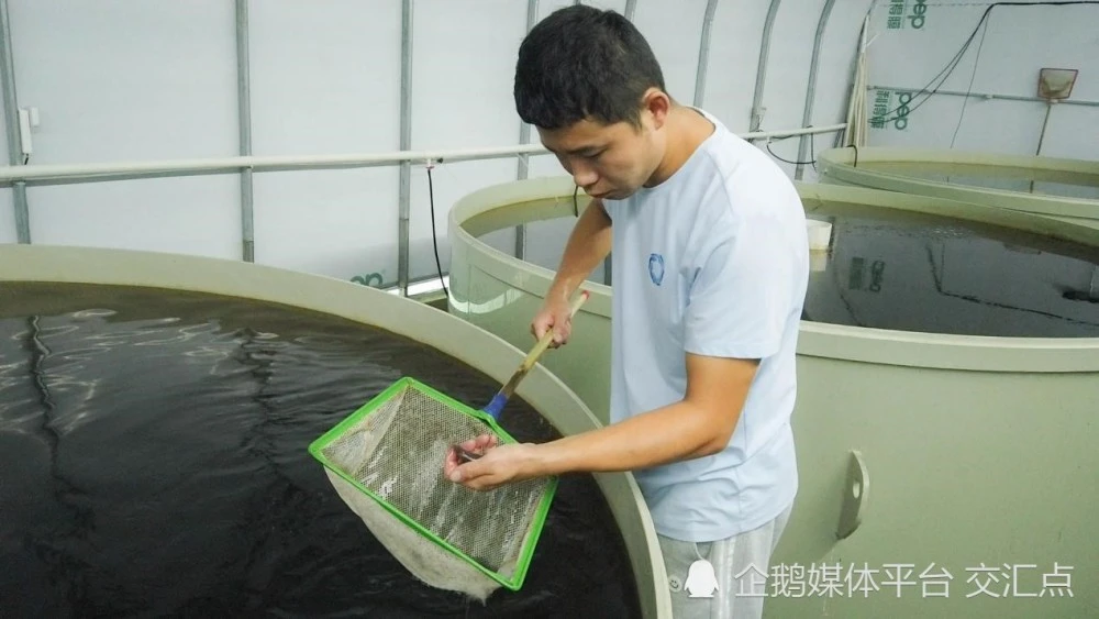 致富养殖生态方法是什么_生态养殖致富方法_致富养殖生态方法视频
