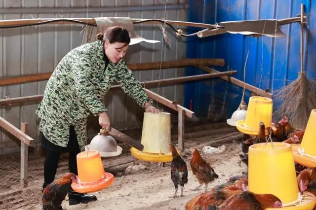 致富养殖生态方法有哪些_生态养殖致富方法_致富养殖生态方法是什么